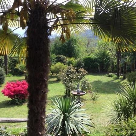 """Casa Elena -Tegna"" Die Ruheoase In Grossem Garten" エクステリア 写真